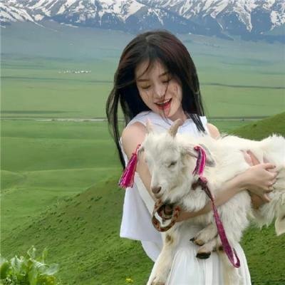 人怕出名猪怕壮海报