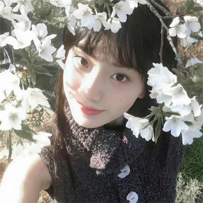 伊莎贝尔海报
